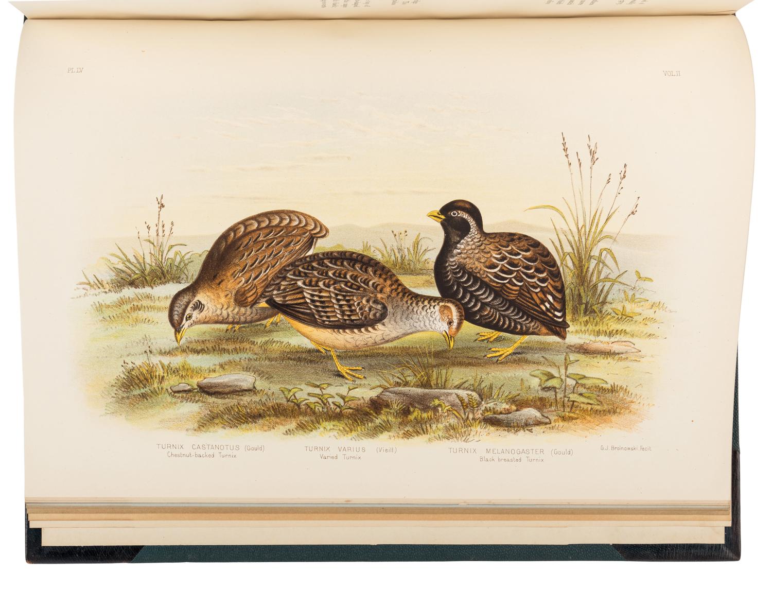 BROINOWSKI, Gracius Joseph (1837-1913). The Birds of Australia . Melbourne, Sydney, Adelaide, Brisbane, New Zealand and Tasmania: S.T. Leigh & Co. for Charles Stuart & Co., 1890-1891.