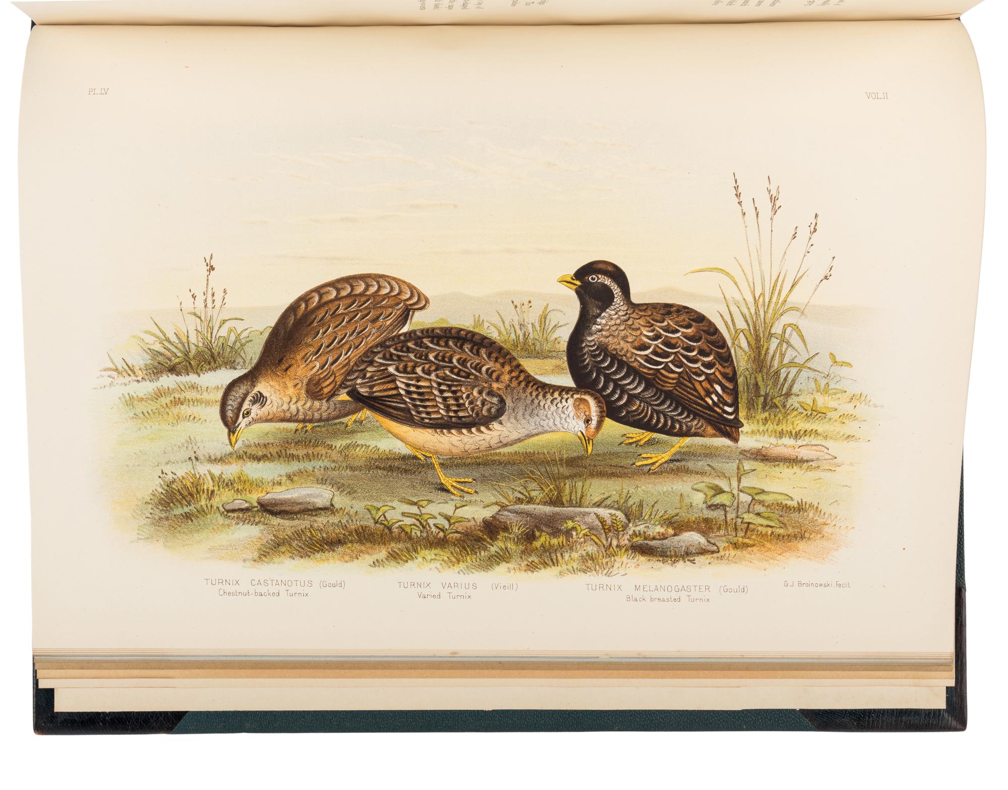 BROINOWSKI, Gracius Joseph (1837-1913). The Birds of Australia . Melbourne, Sydney, Adelaide, Brisbane, New Zealand and Tasmania: S.T. Leigh & Co. for Charles Stuart & Co., 1890-1891.