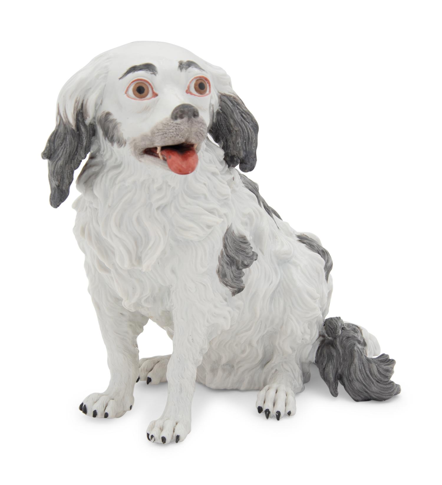 A Meissen Porcelain Bolognese Hound
