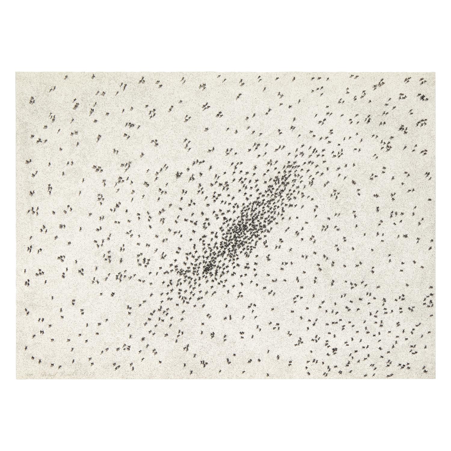 Ed Ruscha (American, b. 1937) — Insect Slant (Ants) (from Reality & Paradoxes ), 1973