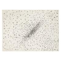 Ed Ruscha (American, b. 1937) — Insect Slant (Ants) (from Reality & Paradoxes ), 1973