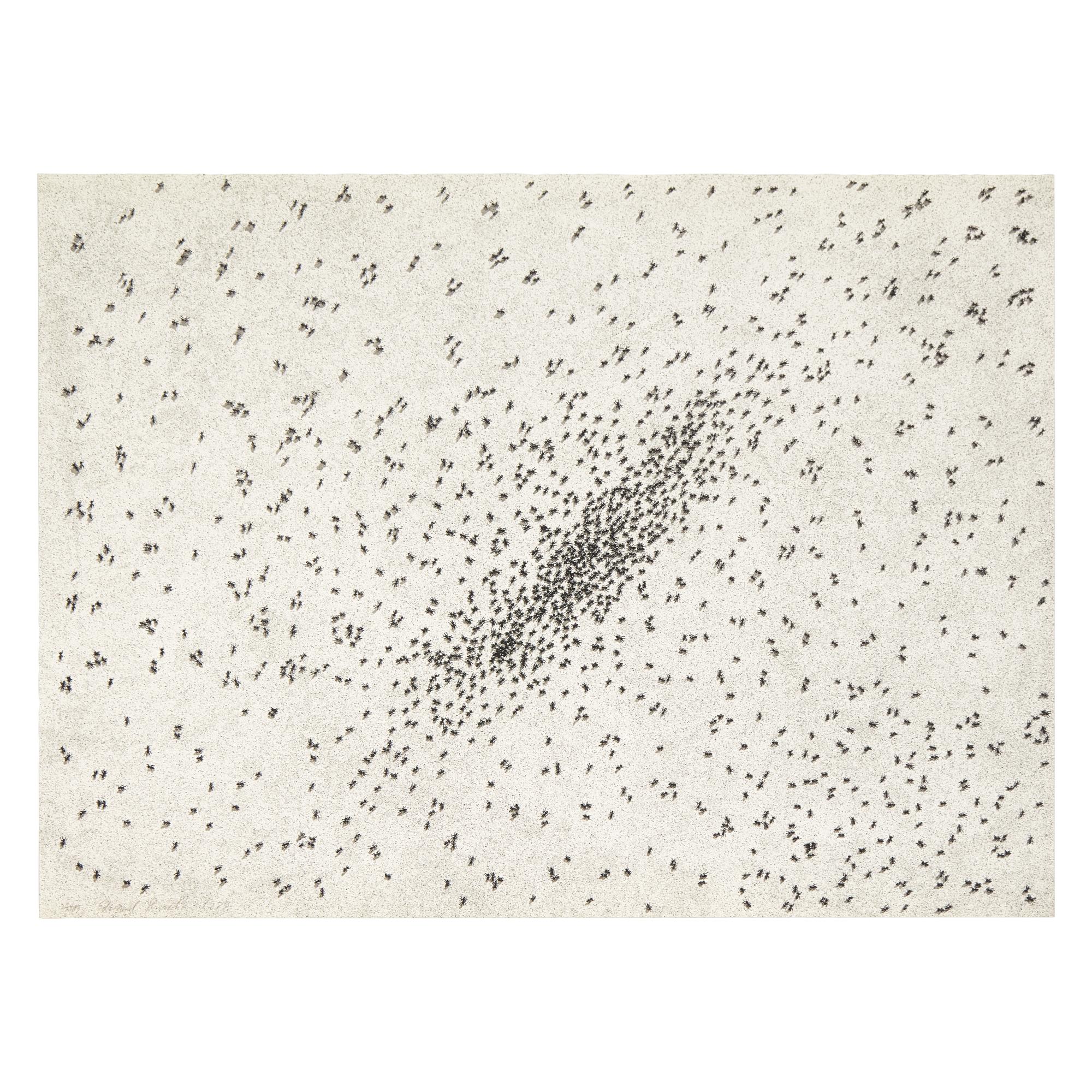 Ed Ruscha (American, b. 1937) — Insect Slant (Ants) (from Reality & Paradoxes ), 1973