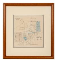 A Group of Twelve Maps of Illinois