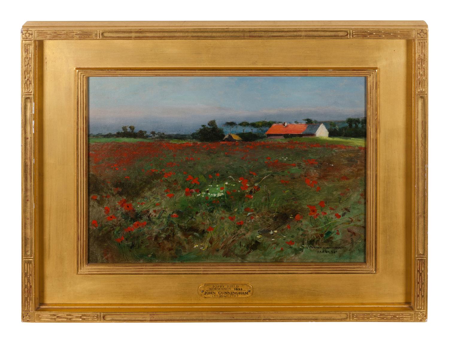 Poppy Field, Normandy