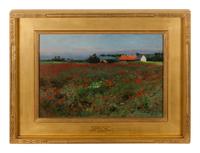 Poppy Field, Normandy