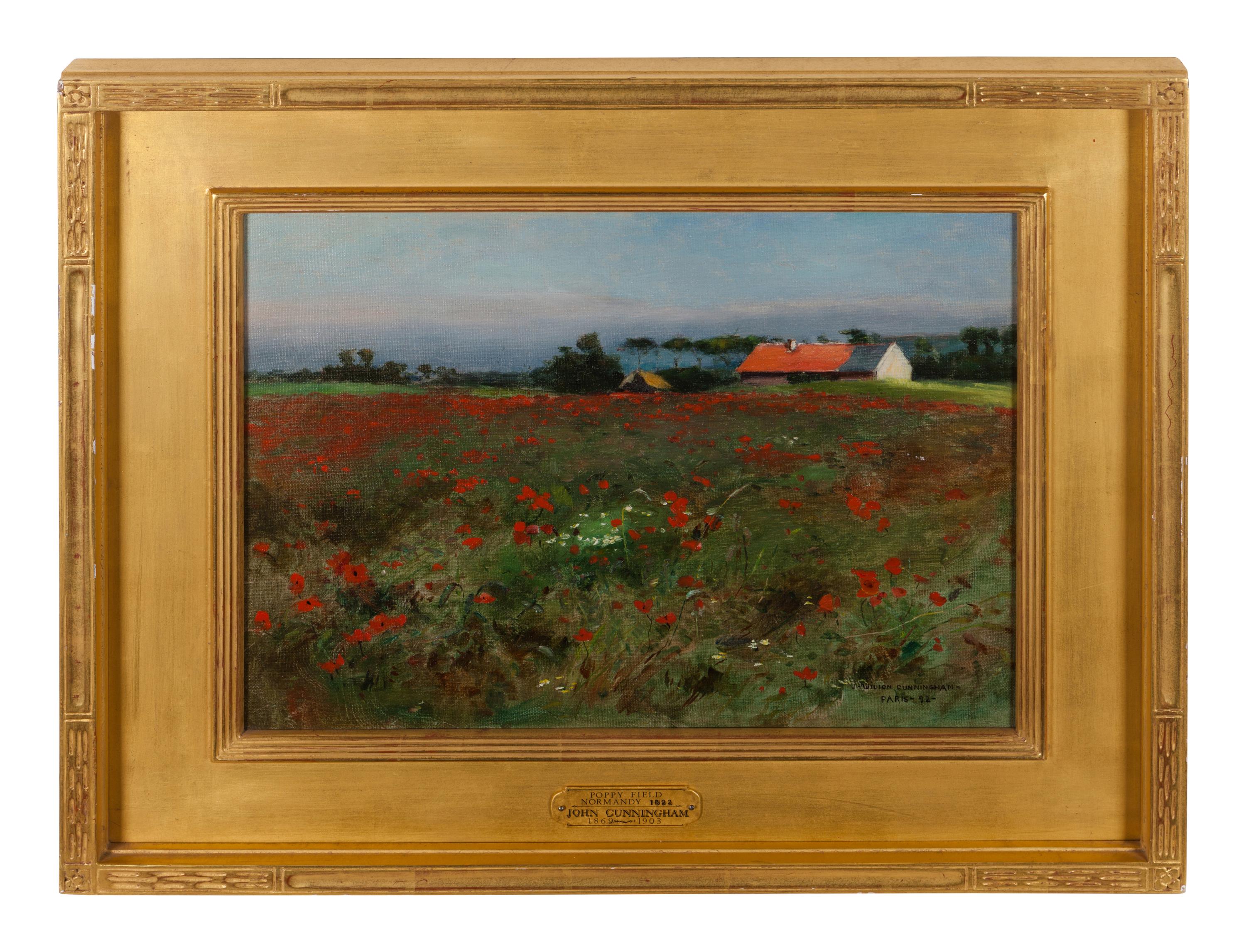 Poppy Field, Normandy