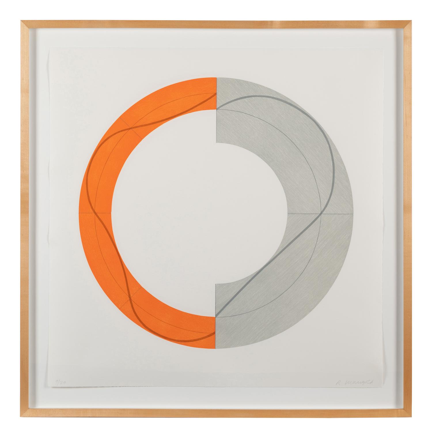 Split Ring Image B