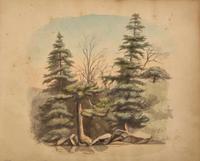 A Nazareth Hall sketchbook Nazareth, PA, dated November 18, 1854 to May 1855