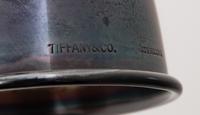 A Group of Nine Tiffany & Co. Silver Bamboo Pattern Bar Articles