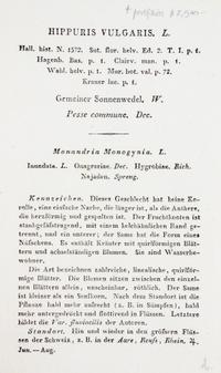 (SWISS FLORA) HEGETSCHWEILER, JOHANN. Sammlung von Schweizer-pflanzen. Basel, 1824-1846. 4 portfolios.