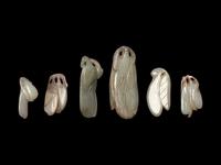 Six Chinese Carved Jade Beans