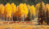October Gather