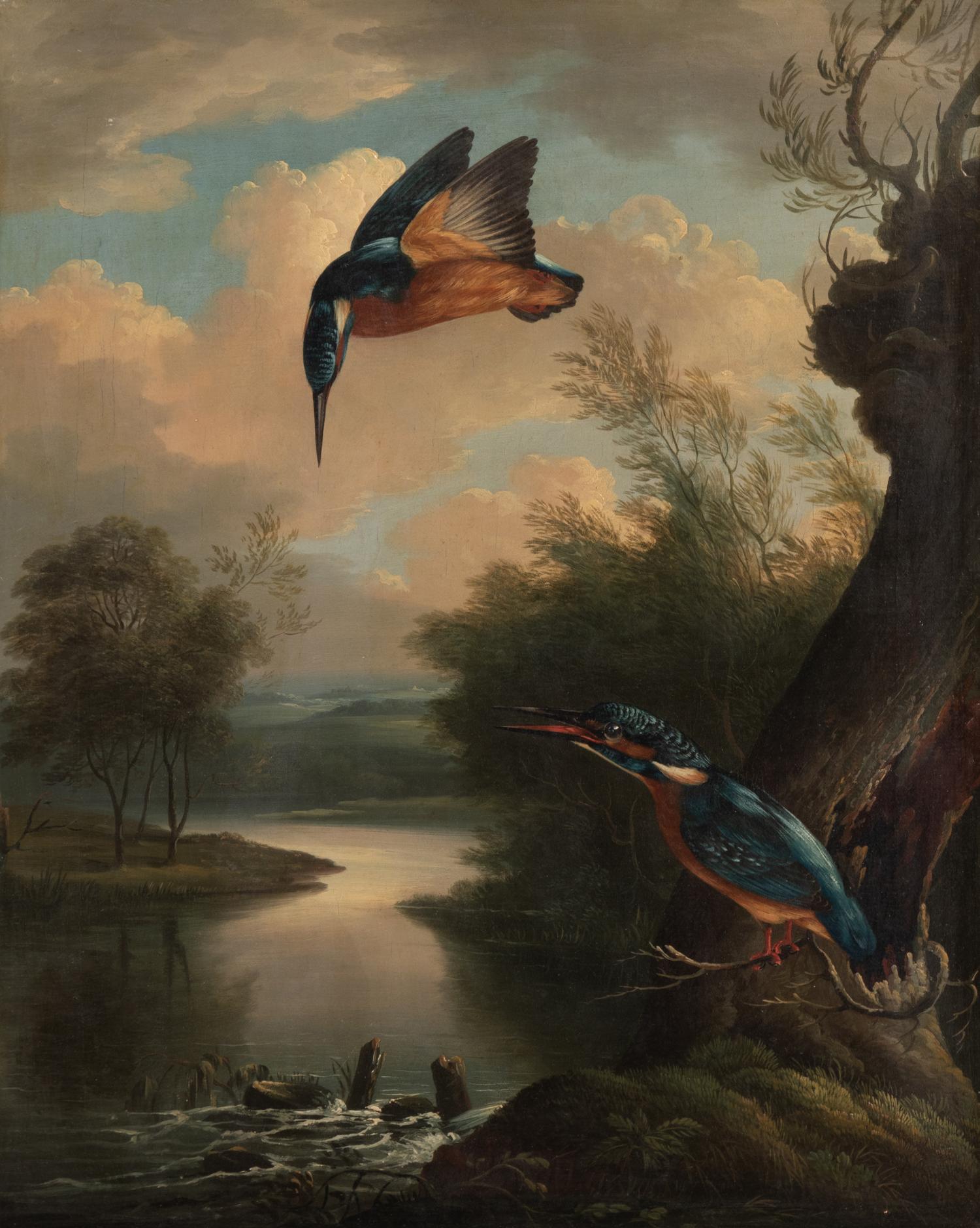 After John James Audubon (American, 1785-1851)
