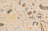 Ray Yoshida, (American, 1930-2009), Lucky 13