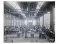 [EDUCATION]. 10 large format glass negatives featuring students at Wilberforce University.