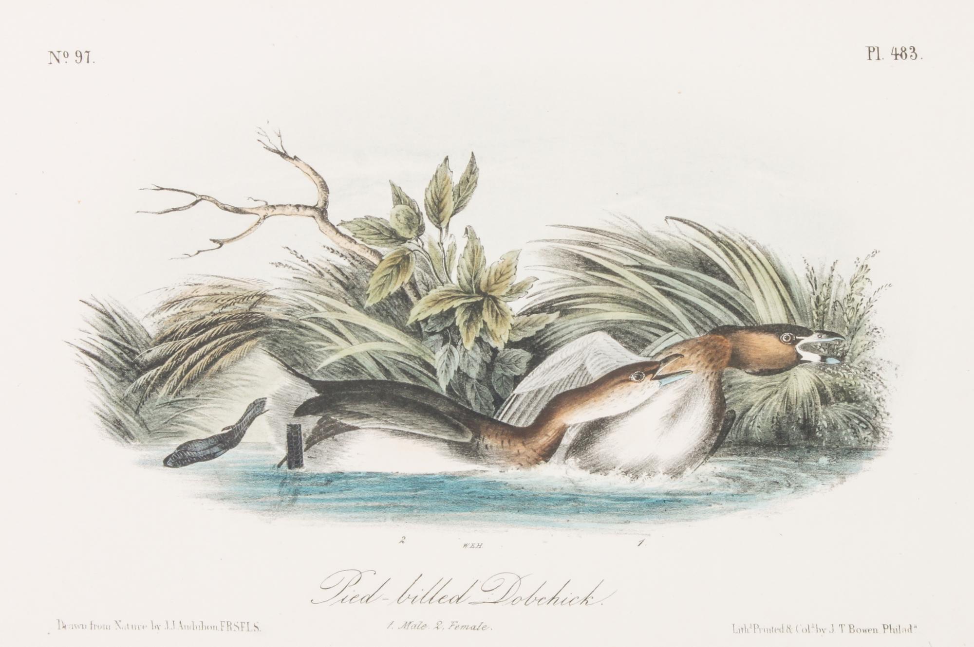 Audubon, John James, after Each approximately: 10 1/2 x 6 3/4 inches.