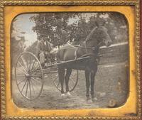 [ Daguerreotype] A Gentleman in his Sporting Sulky
