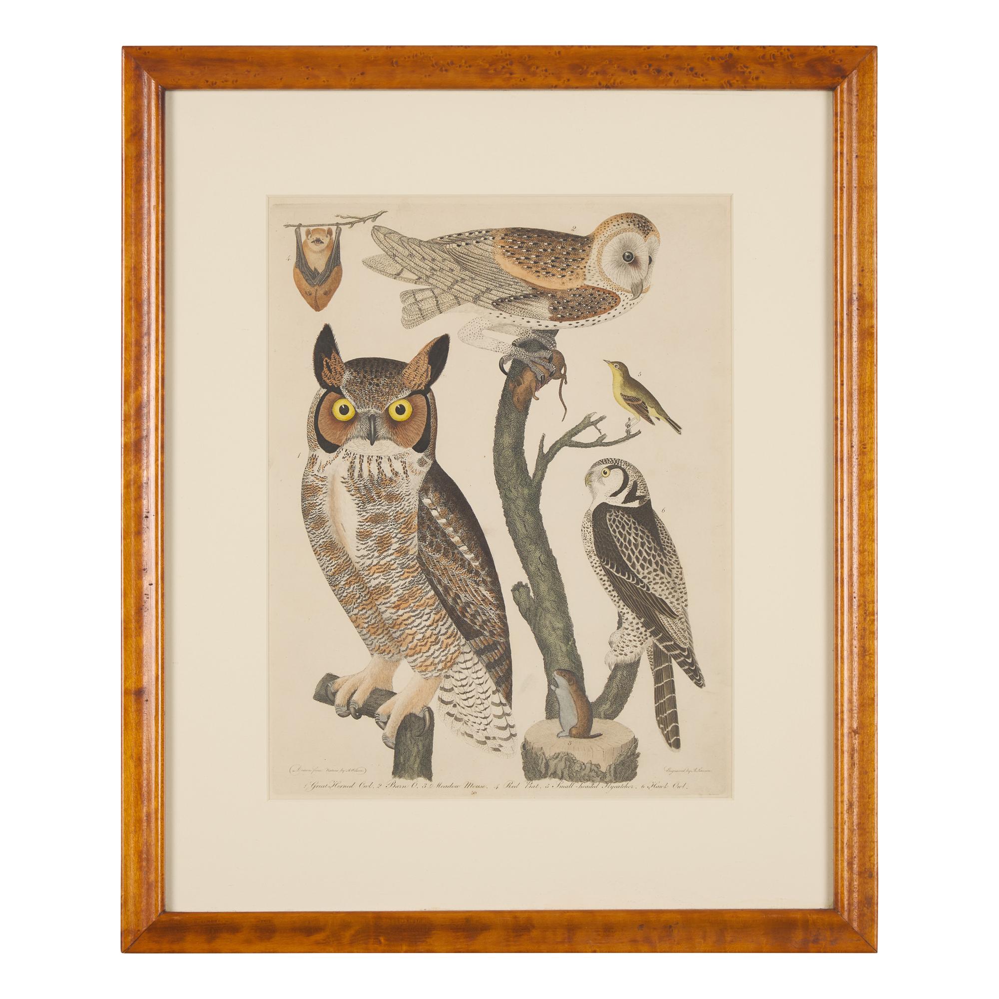 Alexander Lawson (1773-1846) and John G. Warnicke (died 1818), After Alexander Wilson (1766-1813), A Set of Sixteen Hand-Colored Engravings of Various Birds