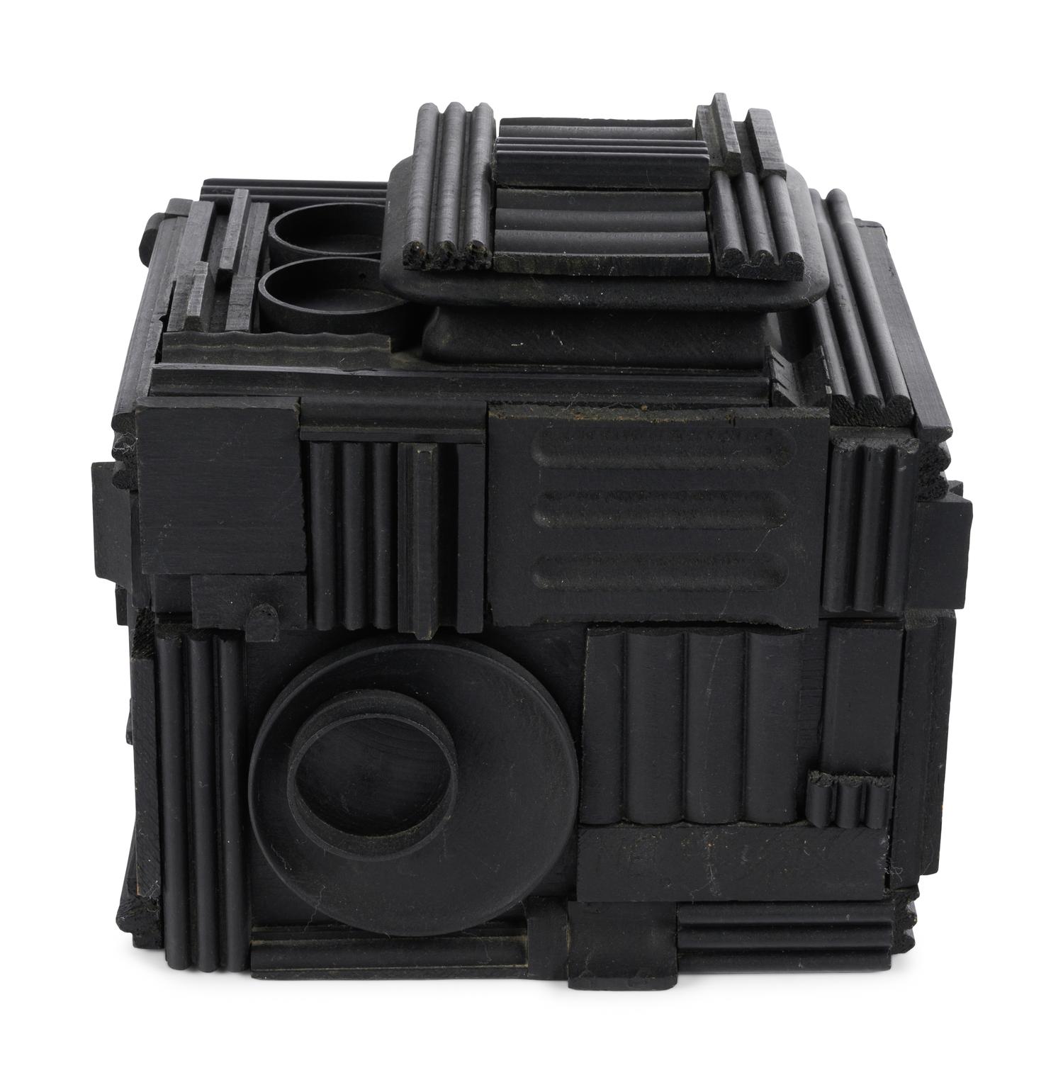Cryptic XXXIX (Camera)