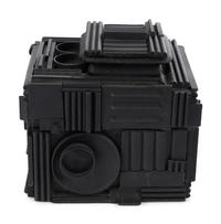 Cryptic XXXIX (Camera)