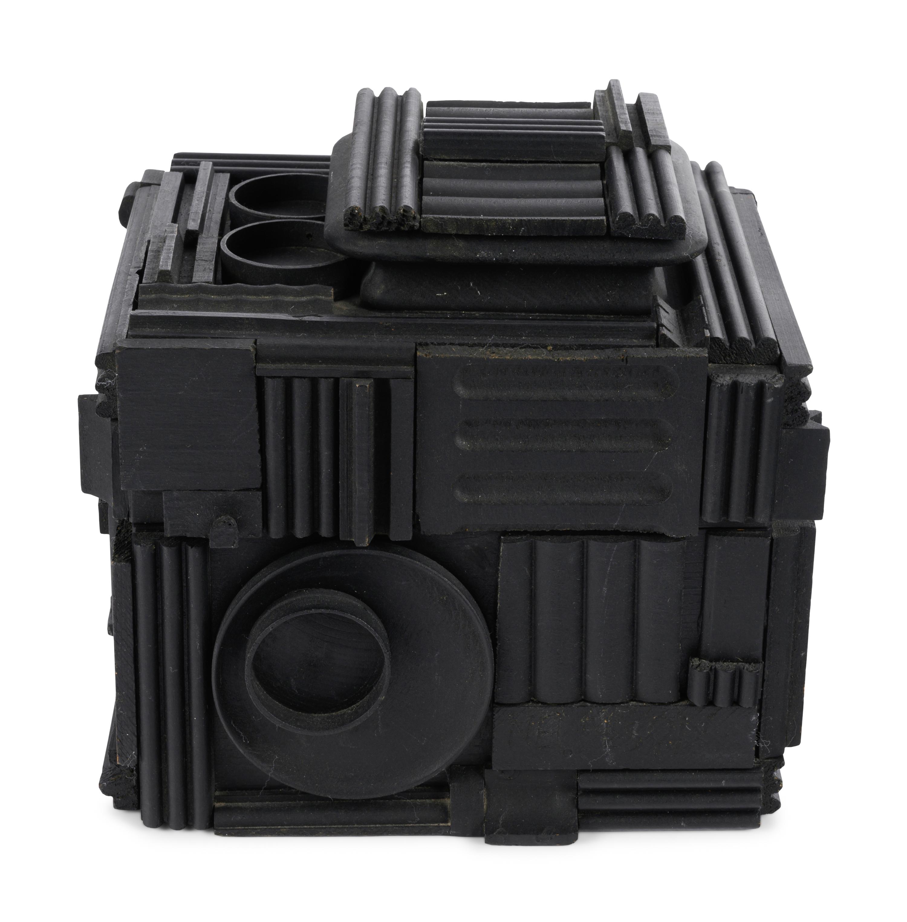Cryptic XXXIX (Camera)