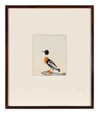 Six Bird Portraits