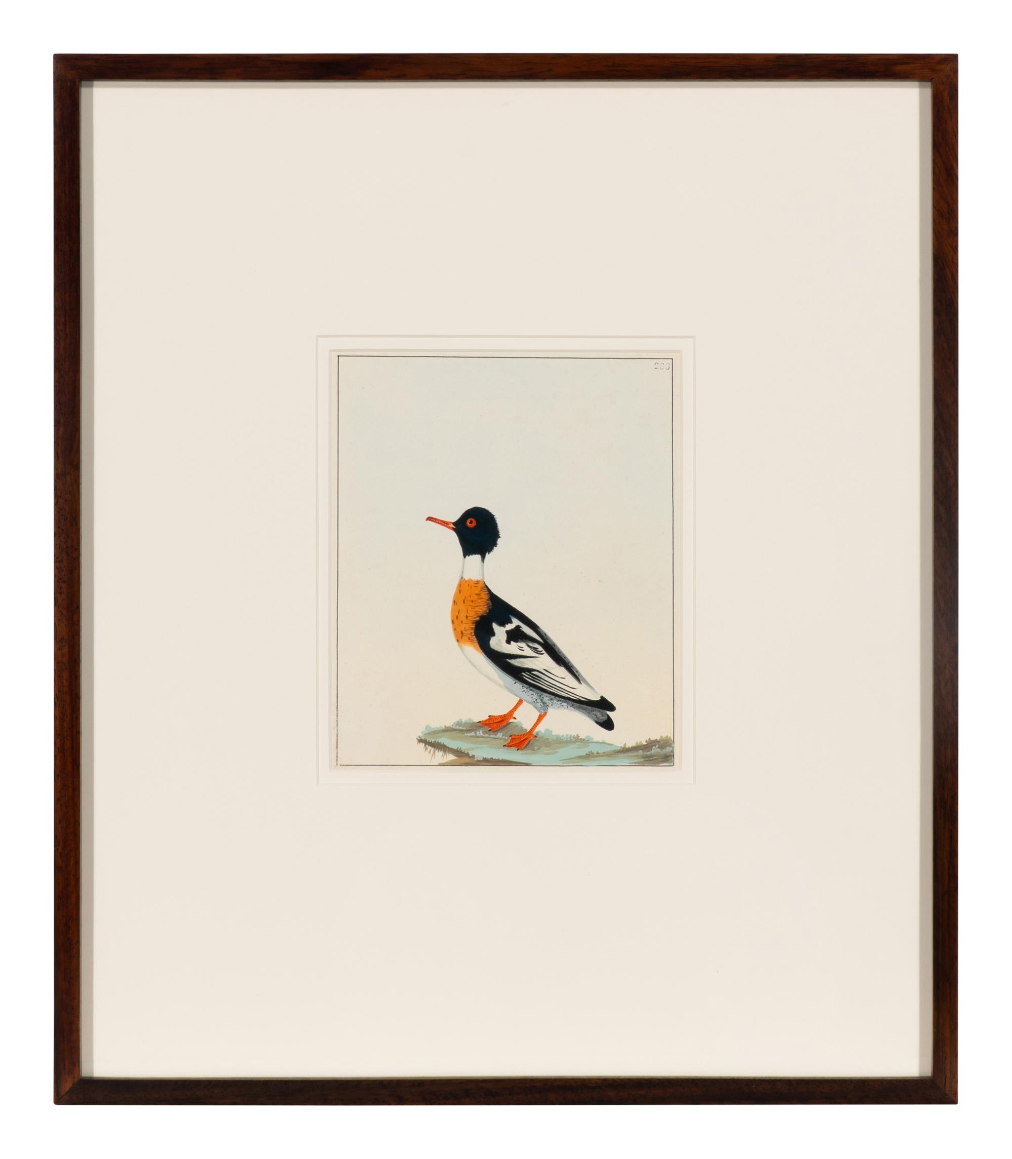 Six Bird Portraits