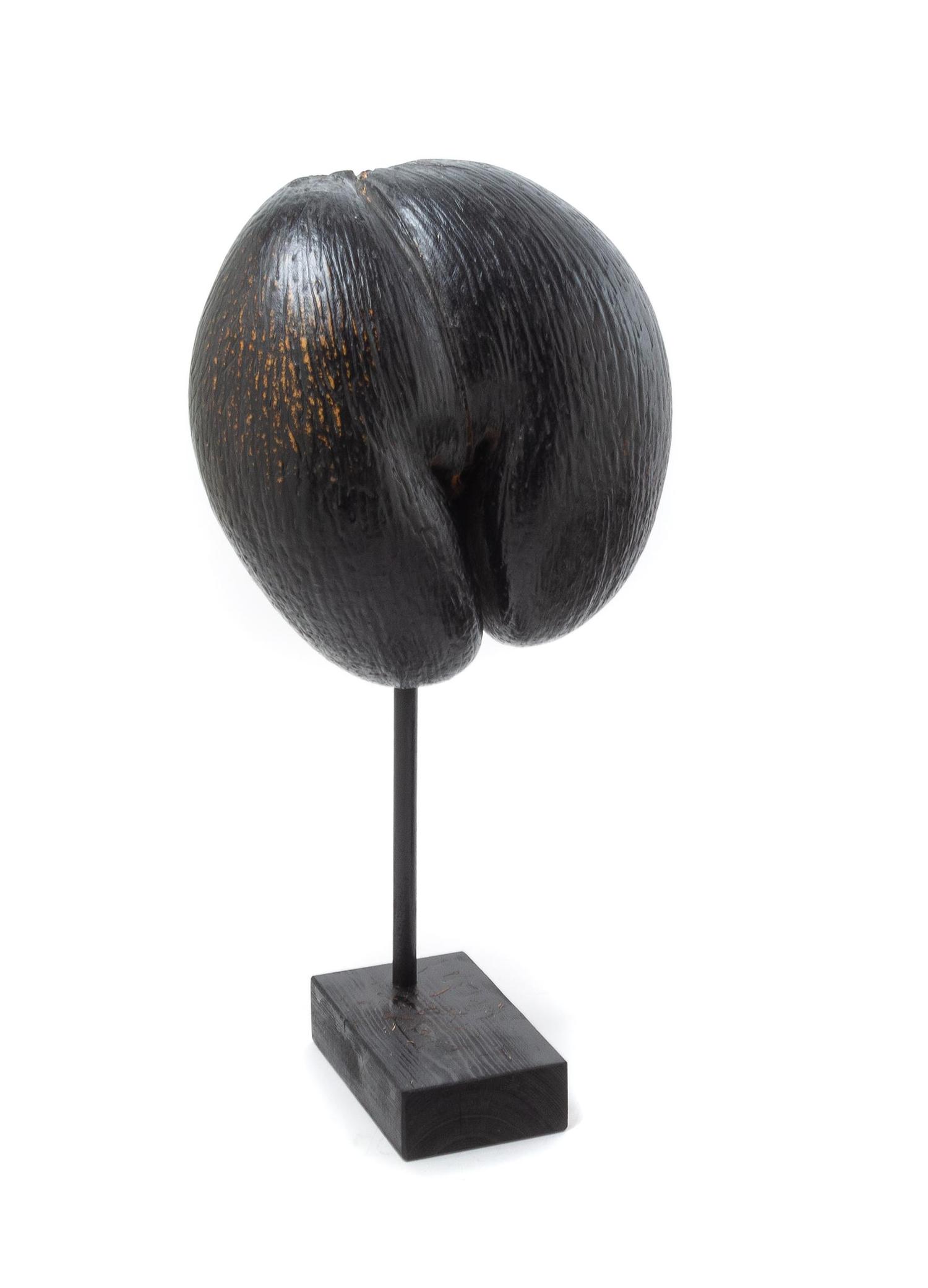 Two Coco de Mer Articles