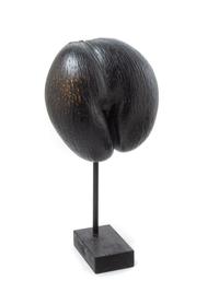 Two Coco de Mer Articles