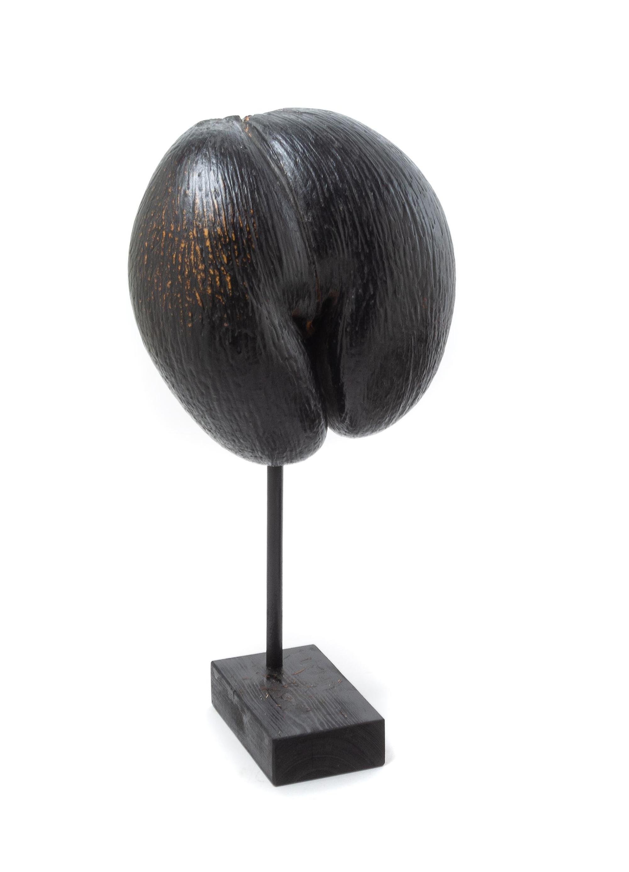Two Coco de Mer Articles