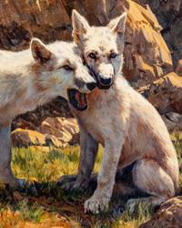 Arctic Wolf Pups