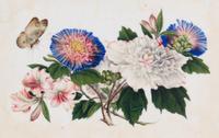 A Set of Twelve Chinese Export Watercolor and Pith Botanical Paintings