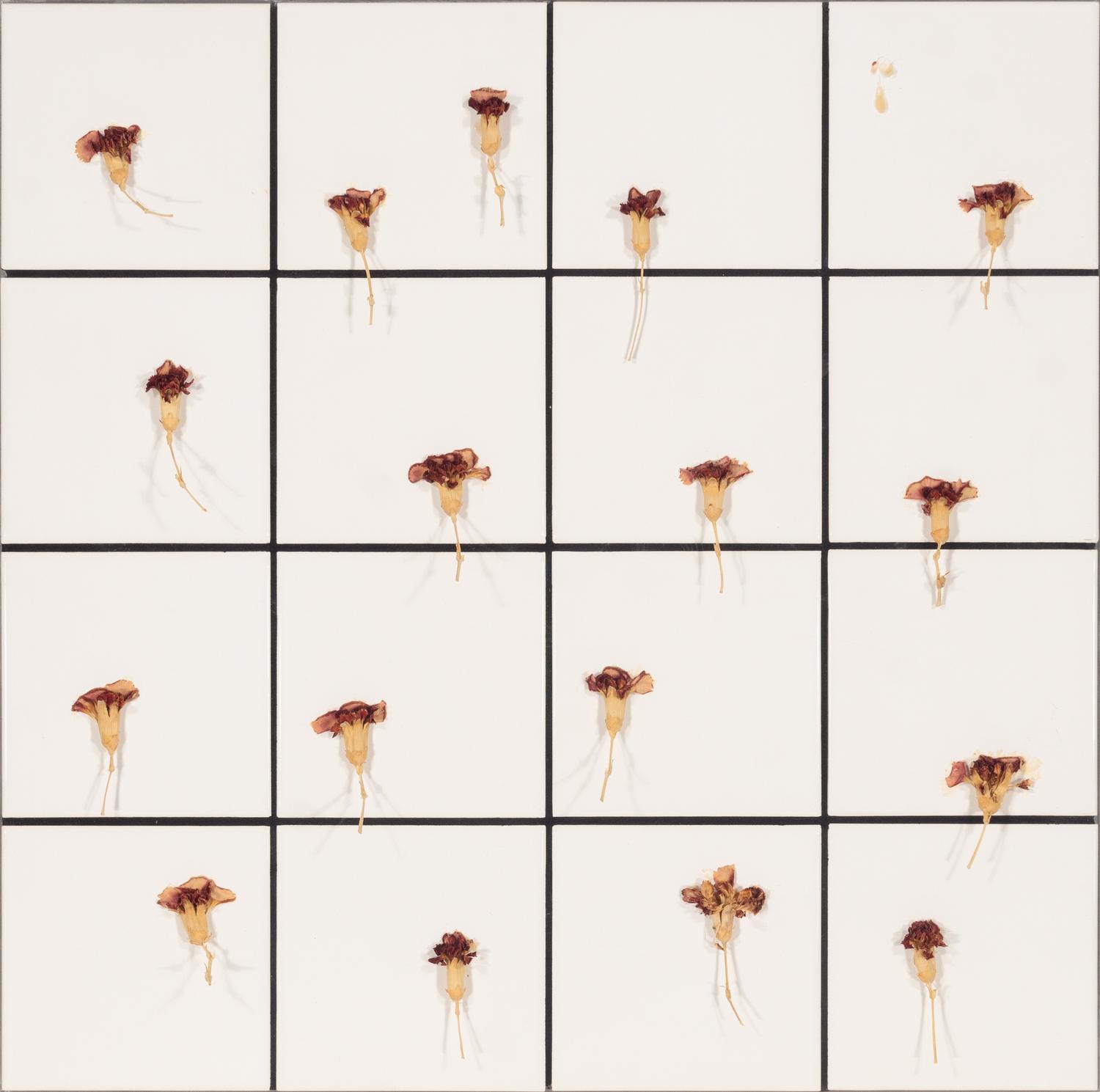 Tiles + Dried Flowers , 1996