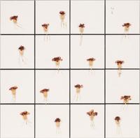 Tiles + Dried Flowers , 1996