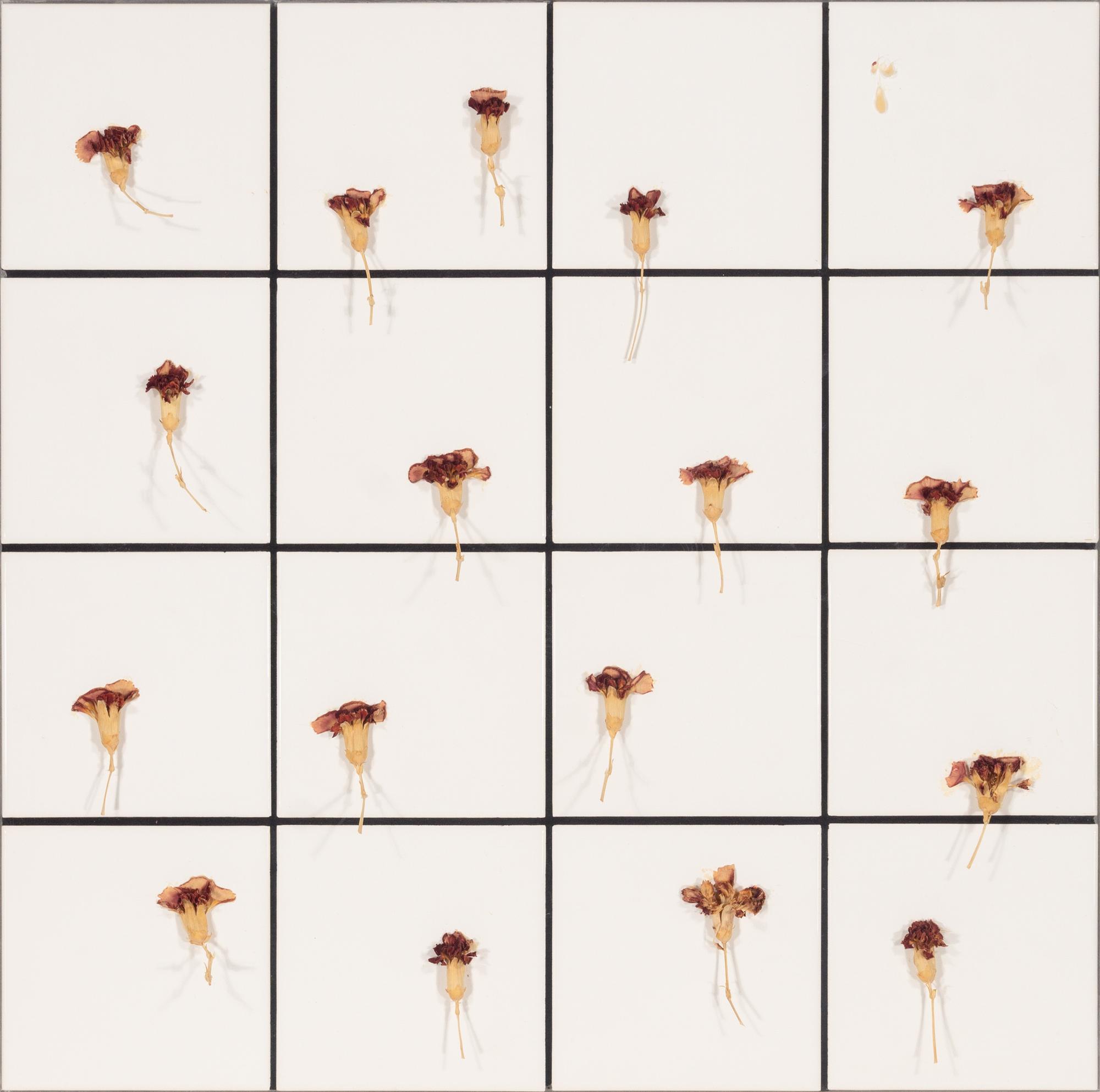 Tiles + Dried Flowers , 1996
