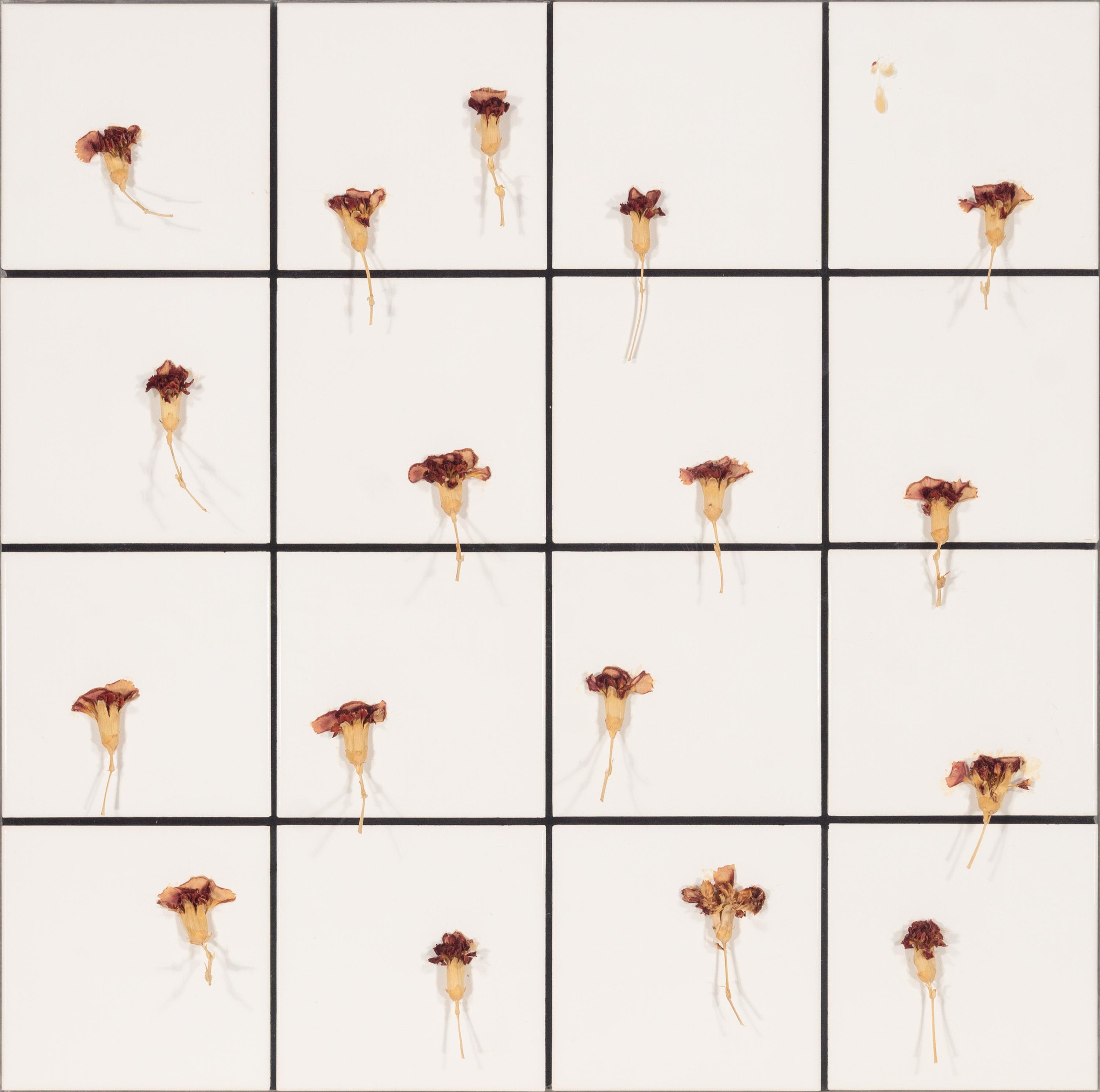 Tiles + Dried Flowers , 1996
