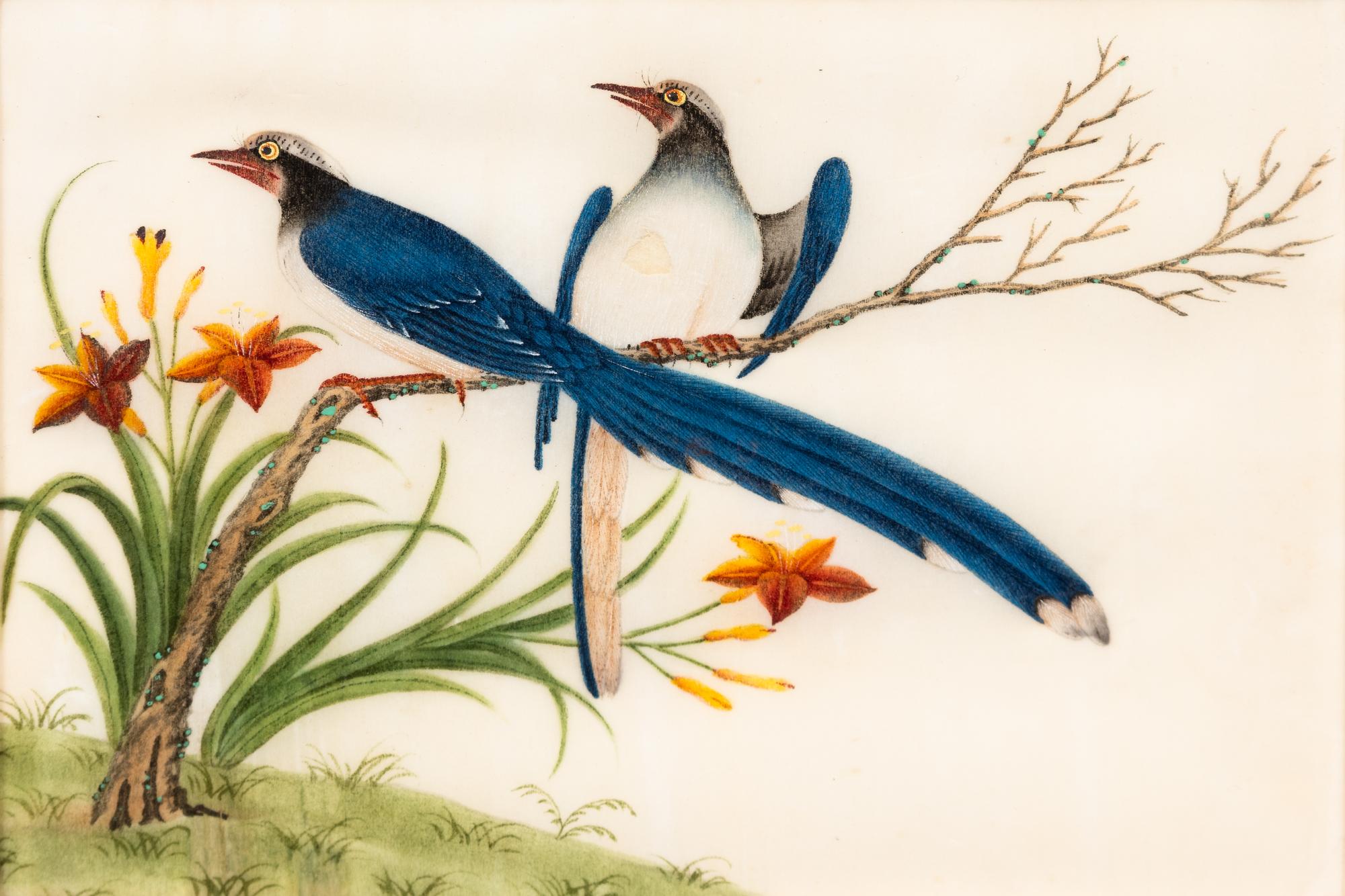 A Collection of Twelve Chinese Export Pith Paintings