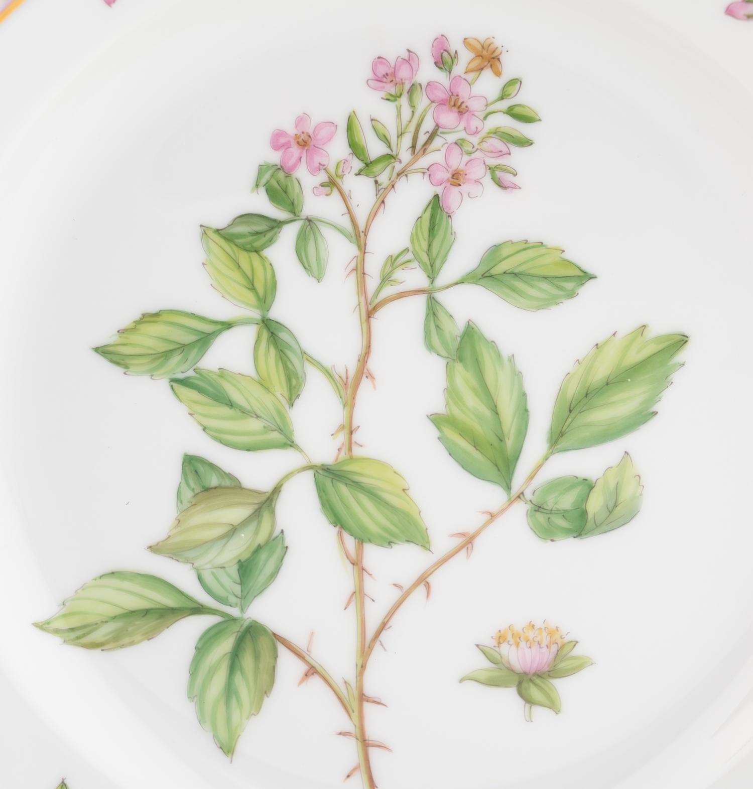 A Set of Eight Royal Copenhagen Flora Danica Porcelain Salad Plates