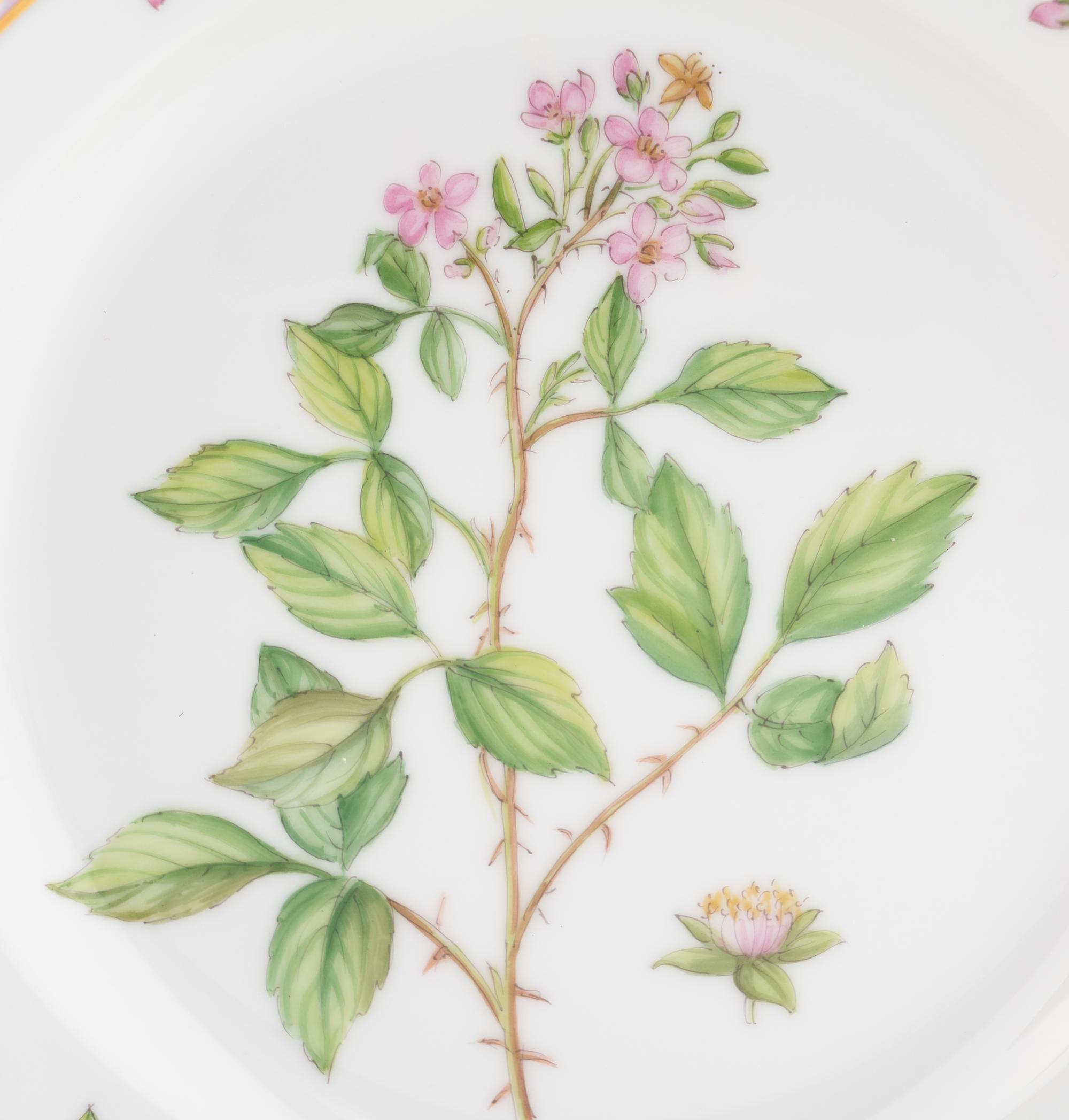 A Set of Eight Royal Copenhagen Flora Danica Porcelain Salad Plates