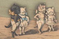 A Musical Automaton Cat Picture