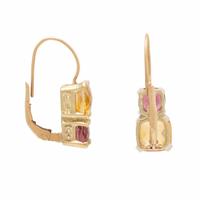 Yellow Gold and Multigem Earrings