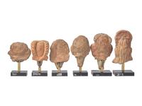 Six Indian Terracotta Head Fragments, Gupta Period