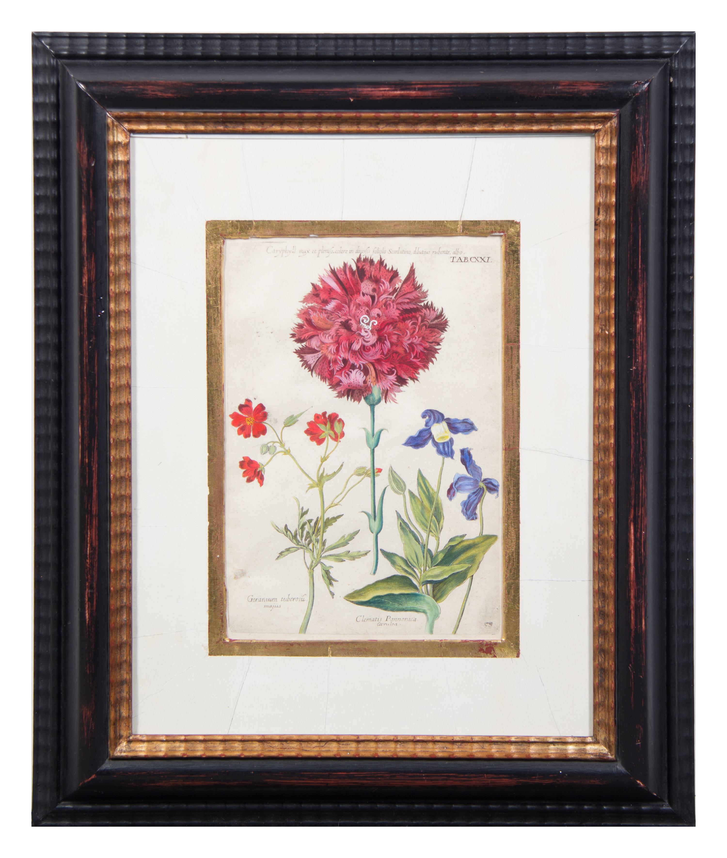 A Group of Four Hand-Colored Botanical Engravings Largest: 21 1/2 x 17 1/2 inches overall.
