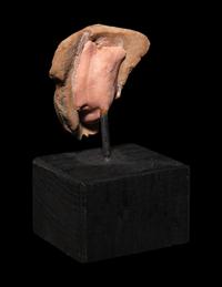 An Egyptian Terra Cotta Head of Horus