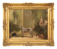 Irish Wolfhound and Pekingese
