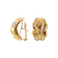 BICOLOR GOLD EARRINGS