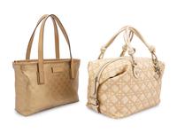 Christian Dior and Gucci Bag