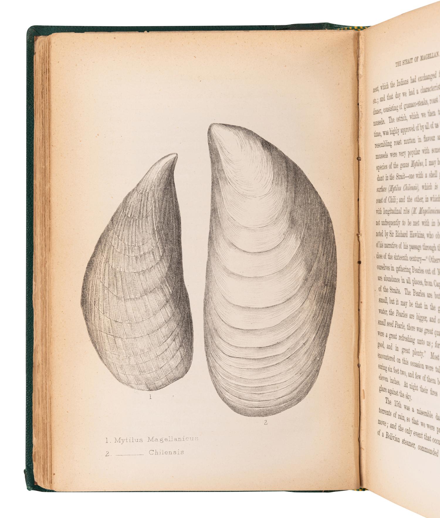 [EXPLORATION -- POLAR]. A group of 11 works, including: