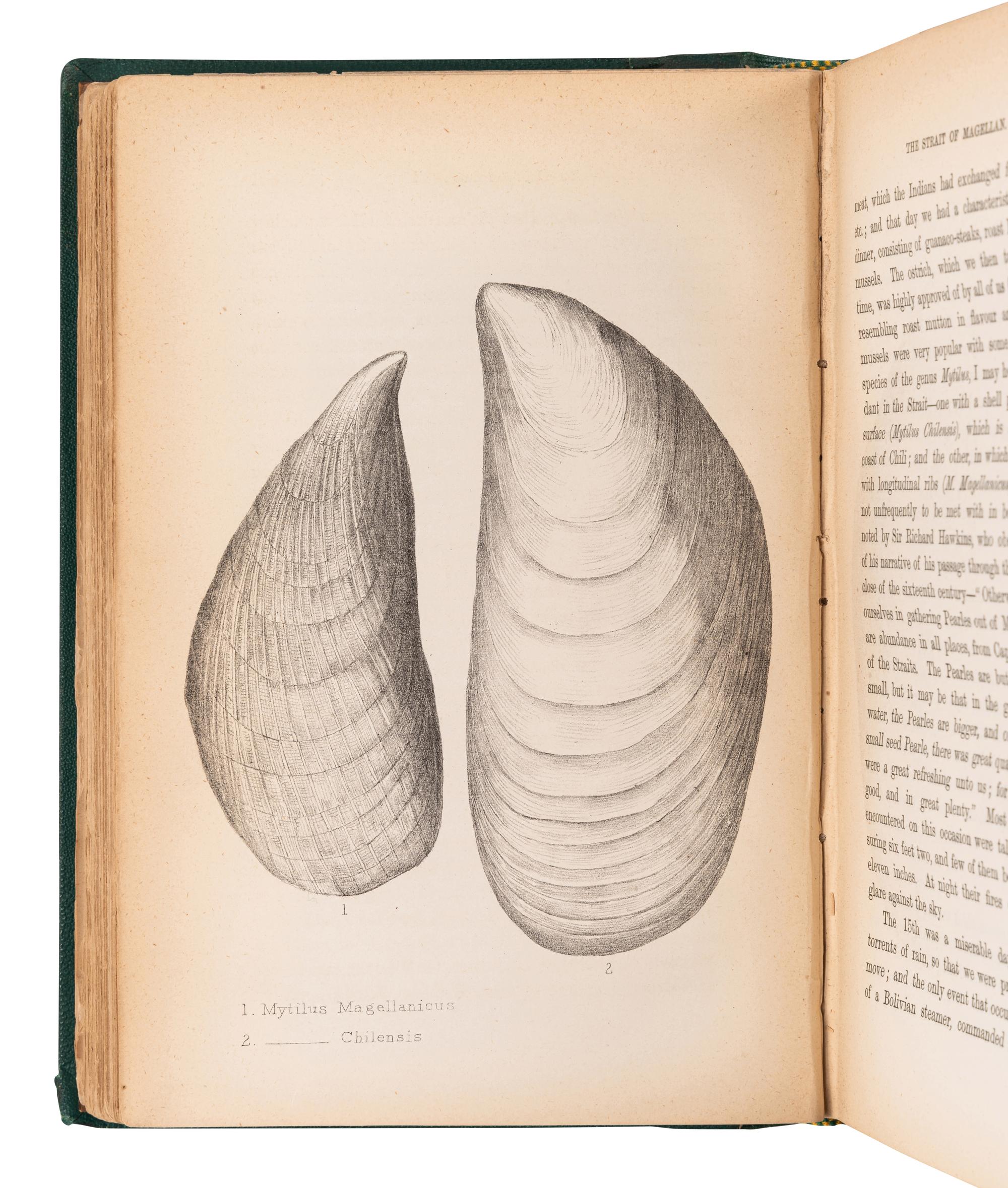 [EXPLORATION -- POLAR]. A group of 11 works, including: