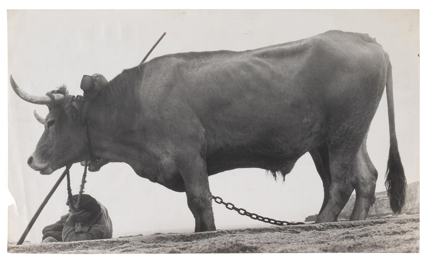 Four Works, 1960s